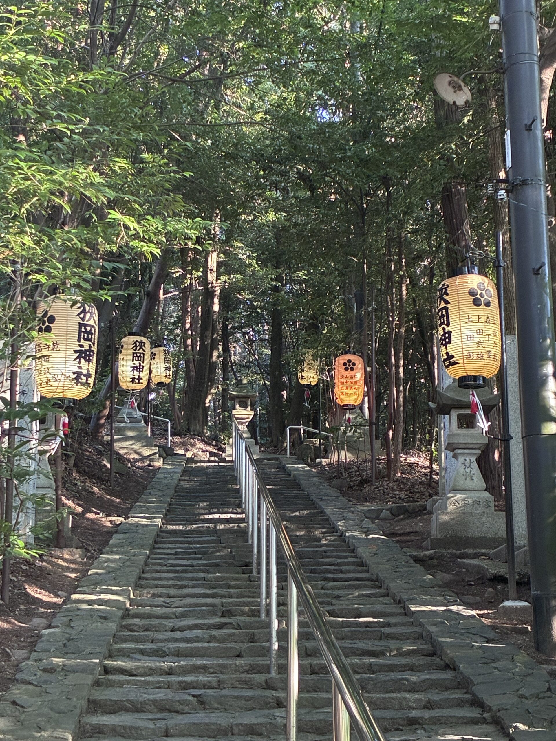 木々に囲まれた石段と、参道の両側に掛けられた狭岡神社の提灯